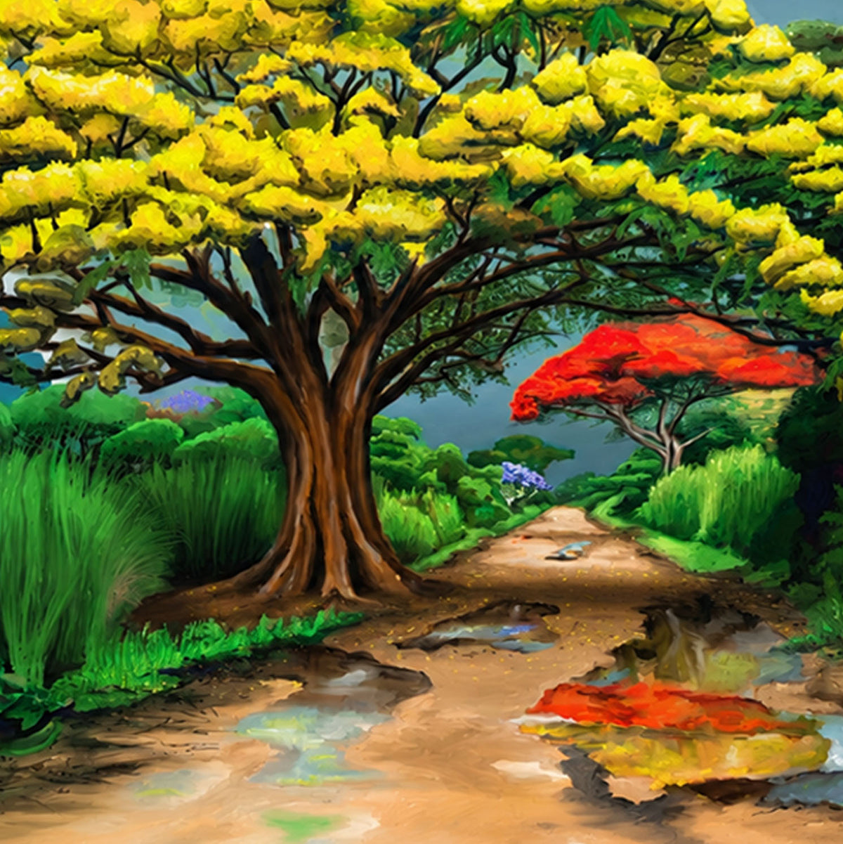 Flamboyán Amarillo