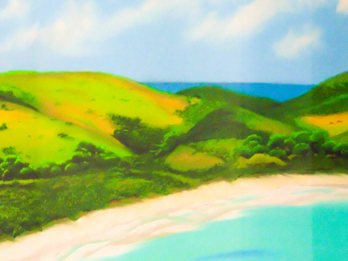 Culebrita - Arte de playa caribeña | Juan Laureano Arte