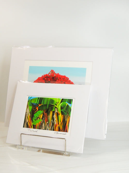 Reproducciones Raíces | Juan Laureano Arte