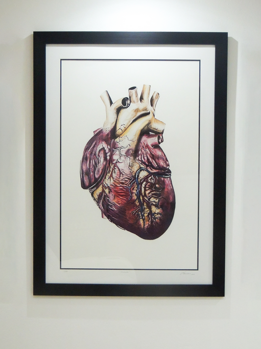 Corazón - Obra en lápiz y acuarela sobre la vida | Juan Laureano Arte