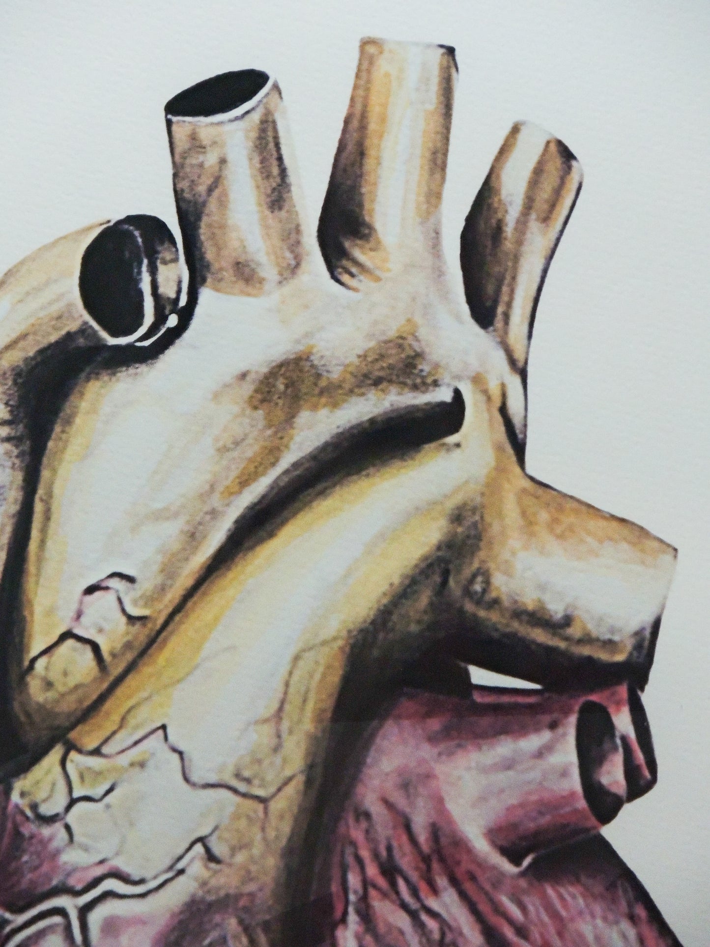 Corazón - Obra en lápiz y acuarela sobre la vida | Juan Laureano Arte