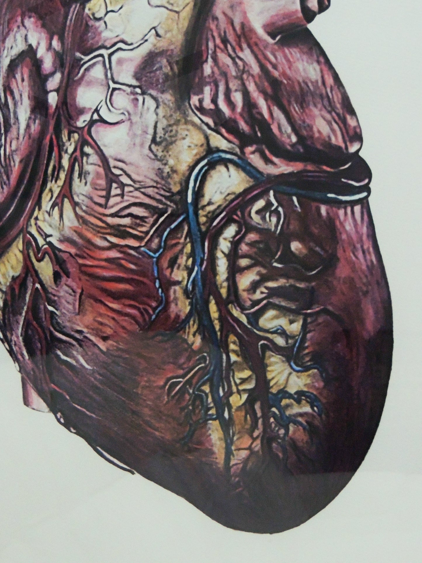 Corazón - Obra en lápiz y acuarela sobre la vida | Juan Laureano Arte