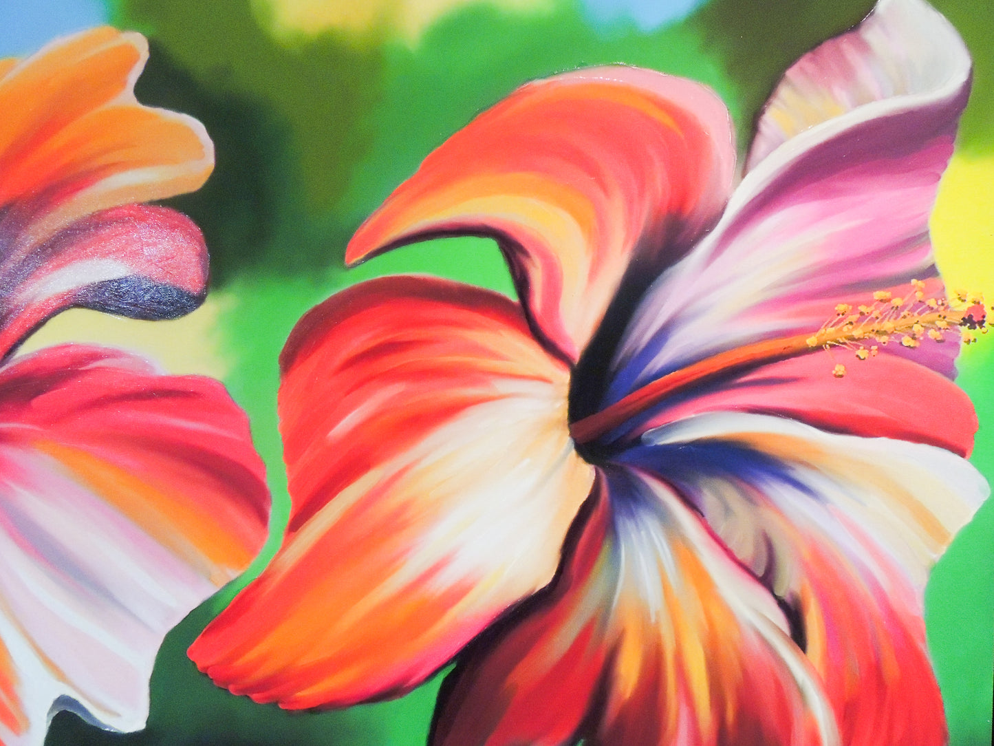 Amapolas - Flor Amapola de Puerto Rico | Juan Laureano Arte