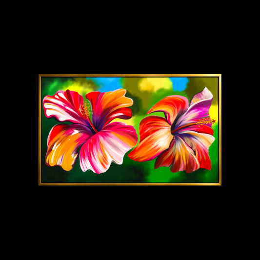 Amapolas | Flor Amapola de Puerto Rico