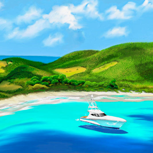 Culebrita - Arte de playa caribeña