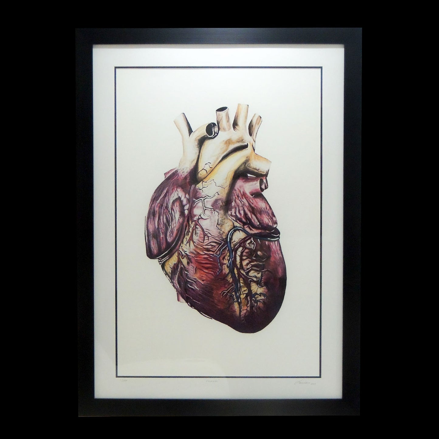 Corazón - Obra en lápiz y acuarela sobre la vida