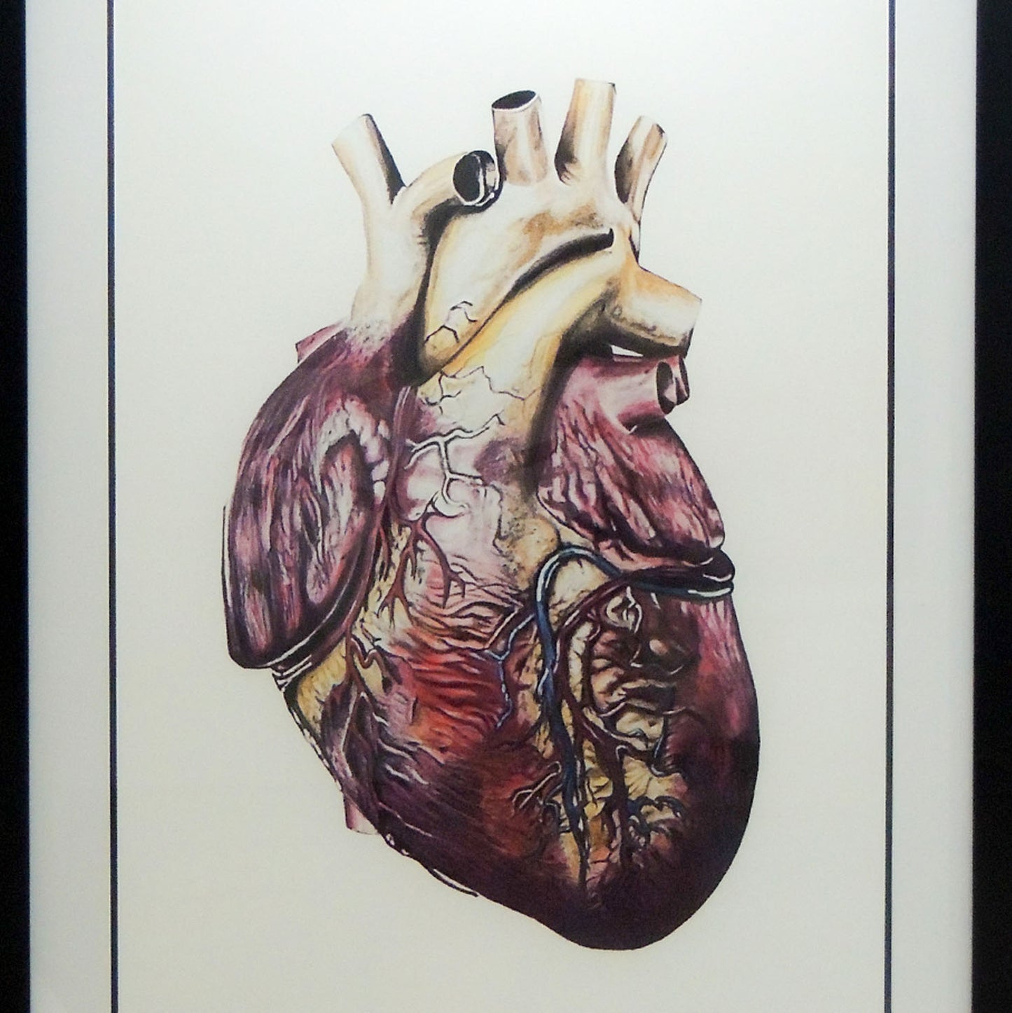 Corazón - Obra en lápiz y acuarela sobre la vida