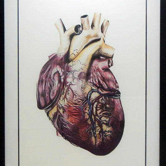 Corazón - Obra en lápiz y acuarela sobre la vida