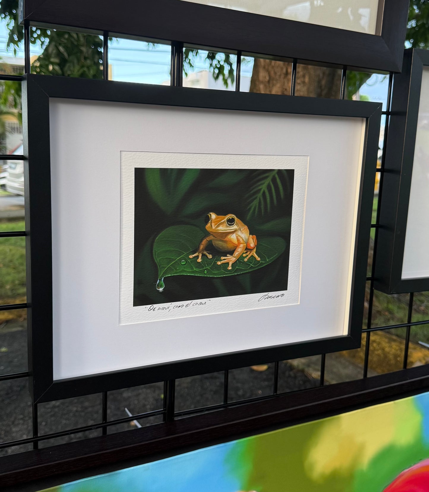 De aquí como el COQUÍ - Pintura del coquí de Puerto Rico | Juan Laureano Arte
