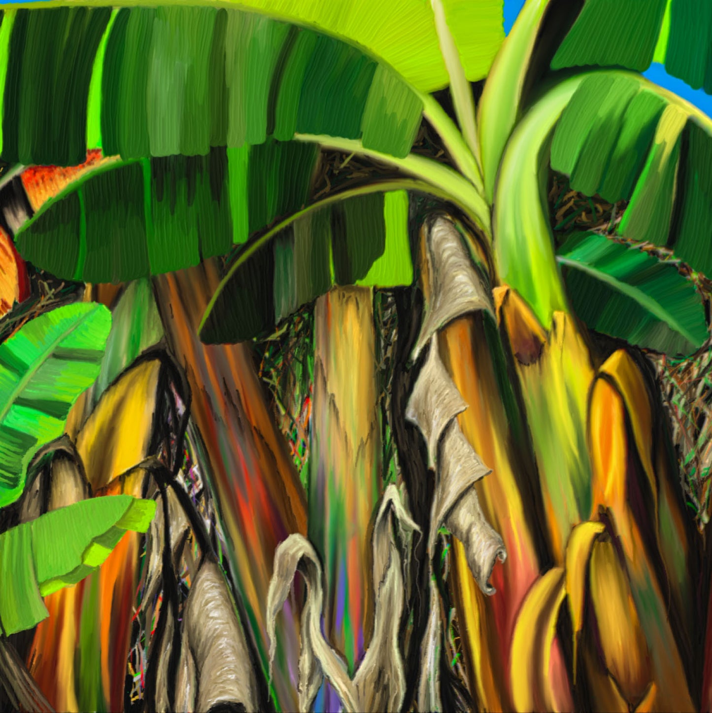 Platanal - Obra de arte caribeño en lienzo
