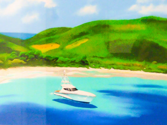 Culebrita - Arte de playa caribeña | Juan Laureano Arte