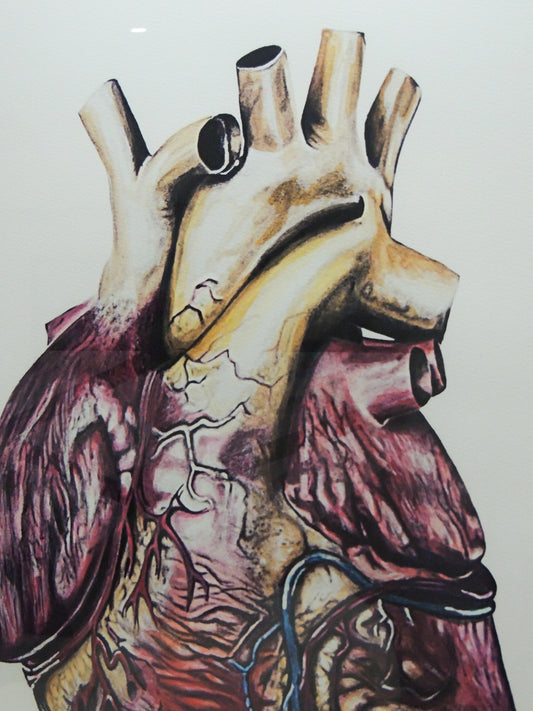 Corazón - Obra en lápiz y acuarela sobre la vida | Juan Laureano Arte